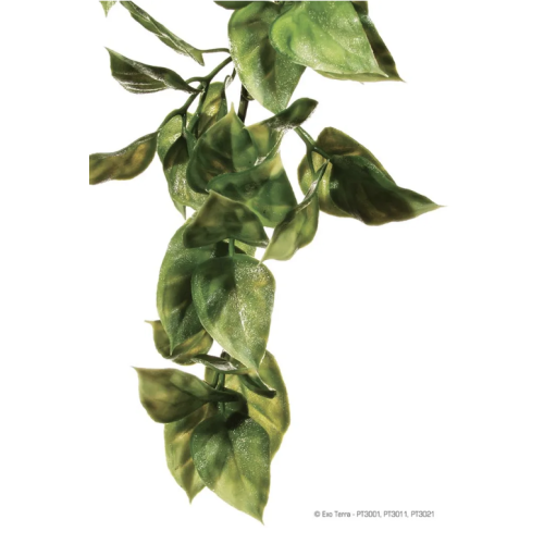 Plastplante Amapallo str. medium