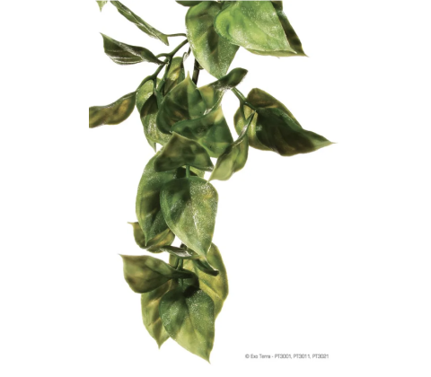 Plastplante Amapallo str. medium