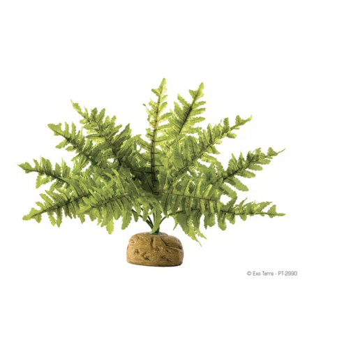 ExoTerra Boston Fern S 