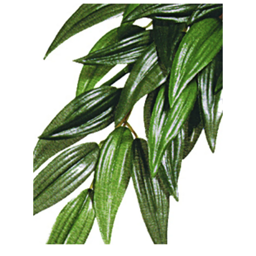 Ruscus Large Plast Exoterra