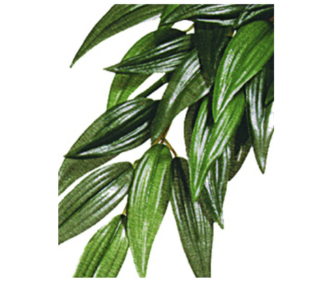 Ruscus Large Plast Exoterra