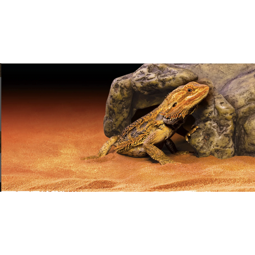 ExoTerra Hule, X-Large 10x25x26 cm