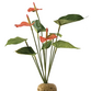 Anthurium Bush Exo Terra
