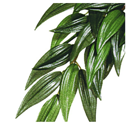 Ruscus Silk Medium ExoTerra