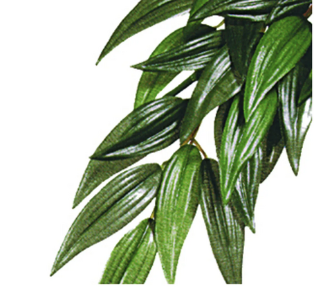 Ruscus Silk Medium ExoTerra