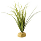 Turtle Grass Exoterra