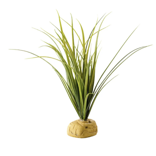 Turtle Grass Exoterra