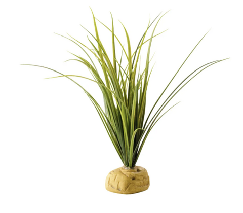 Turtle Grass Exoterra