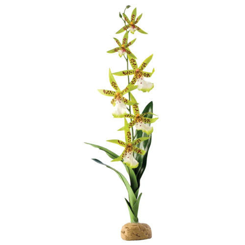 ORKIDÉ EXOTERRA 13x8x43CM