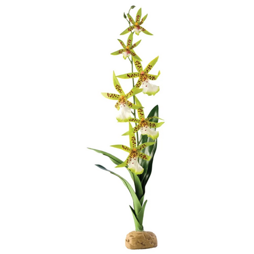 ORKIDÉ EXOTERRA 13x8x43CM