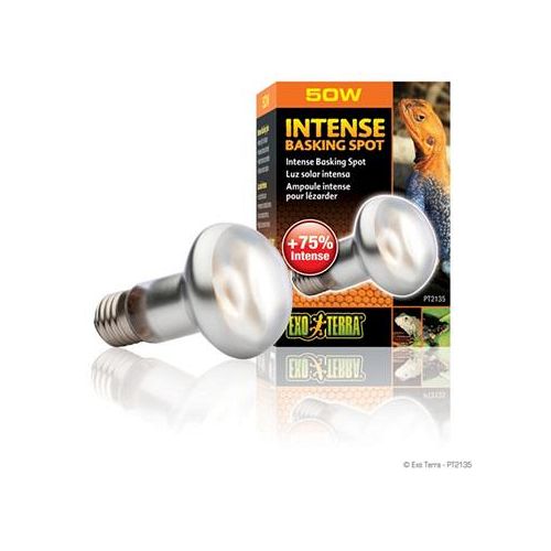 Exoterra Sun glo intense basking spot med UVA