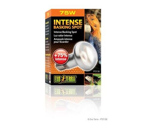 Exoterra Sun glo intense basking spot med UVA