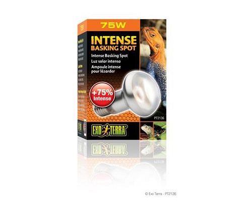 Exoterra Sun glo intense basking spot med UVA