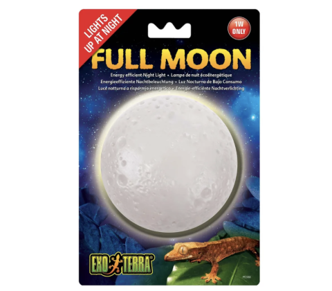 Full Moon Exoterra