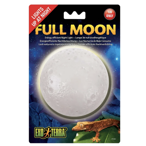 Full Moon Exoterra