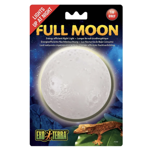 Full Moon Exoterra