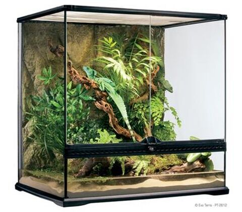 Exo Terra Terrarier 60x45x60 cm.