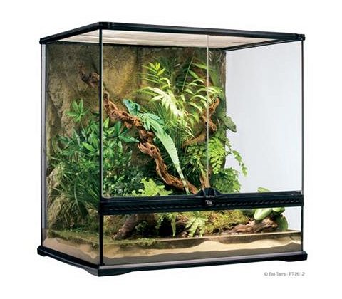 Exo Terra Terrarier 60x45x60 cm.