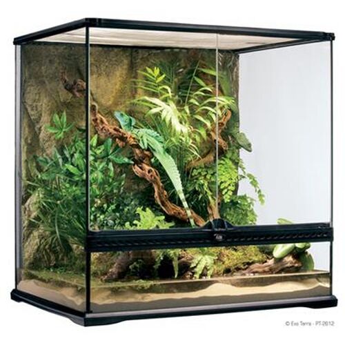Exo Terra Terrarier 60x45x60 cm.