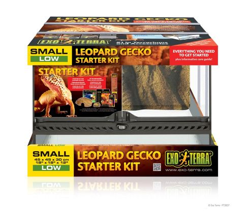 Exoterra leopard gekko starter kit