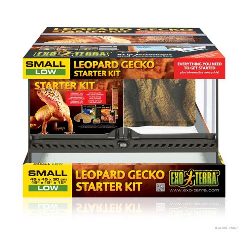 Exoterra leopard gekko starter kit