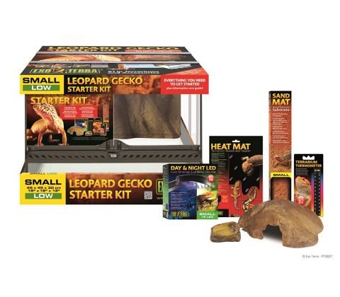 Exoterra leopard gekko starter kit