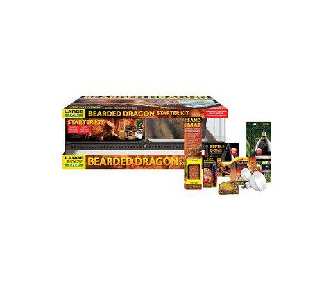 Exoterra bearded dragon starter kit