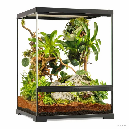 ExoTerra PRO Terrarium 45 x 45 x 60 cm.