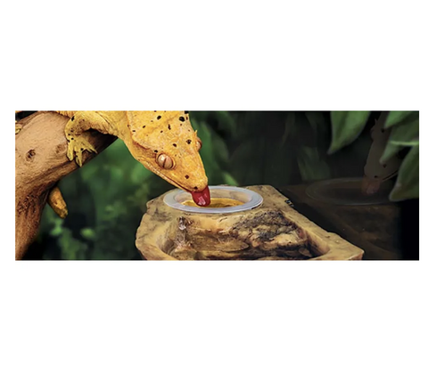 ExoTerra Canopy Combo Dish