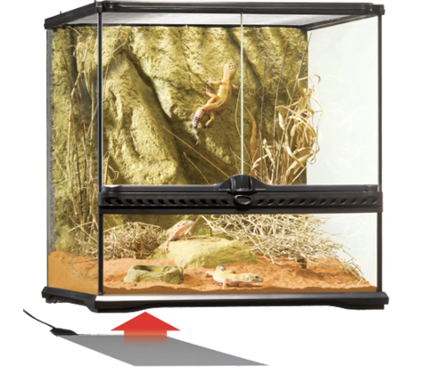 EXO TERRA HEAT MAT SMALL 8W 20X20CM