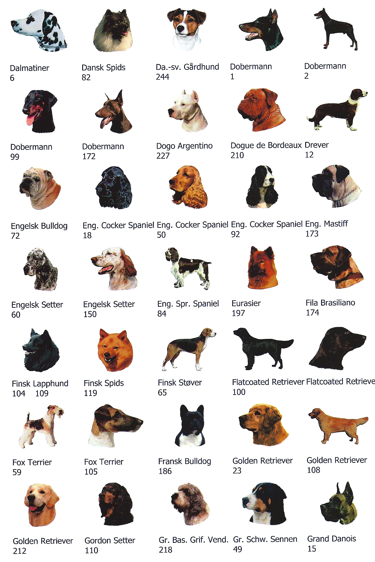 Hunde-dekaler af hunde