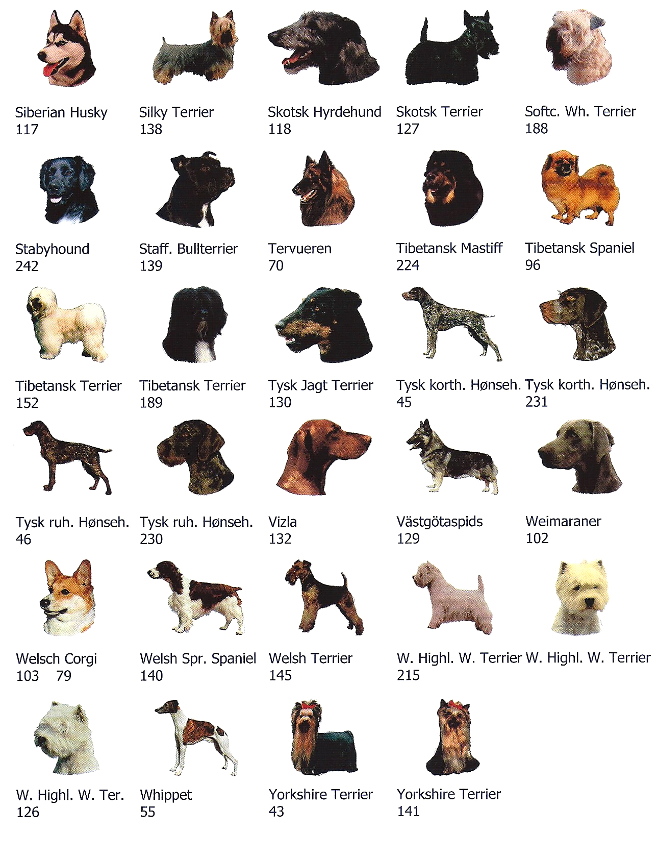 Hunde-dekaler af hunde